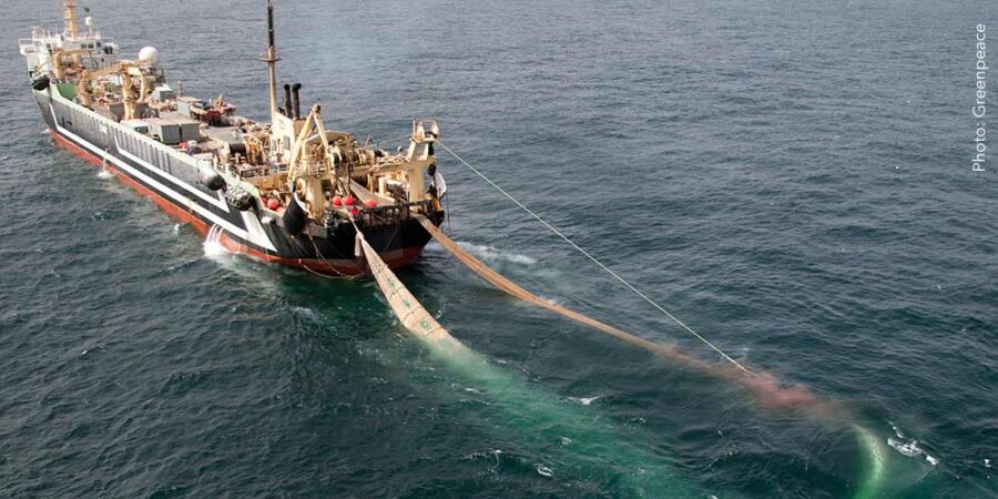 6 reasons you should be super worried about super trawlers
