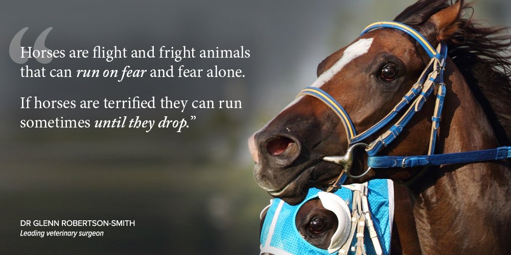 Why This Horse Racing Scandal Should Be A Wake-up Call