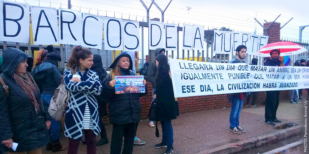 Protesters in Uruguay protesting against live exports