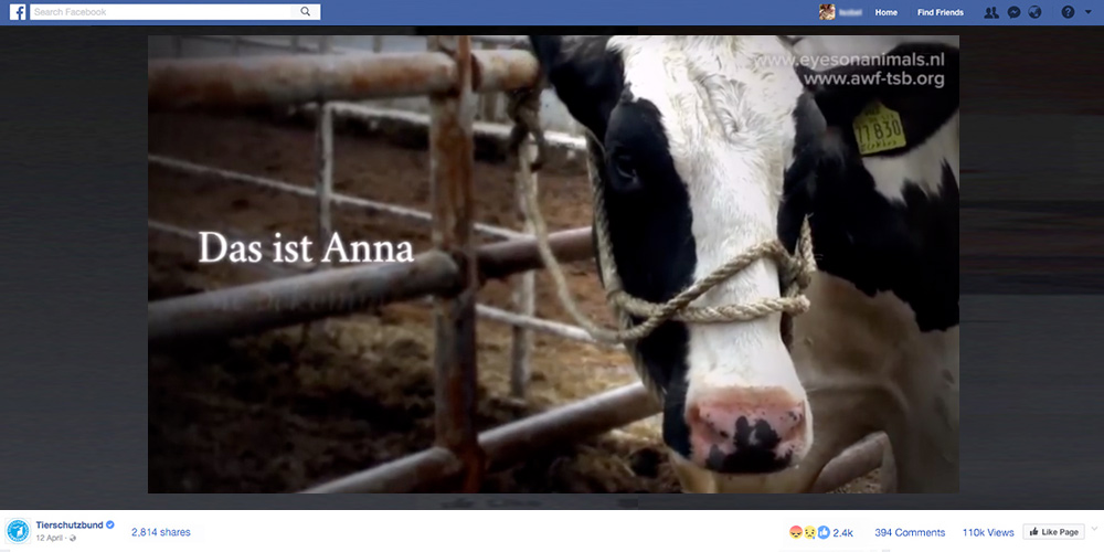 Screenshot of Facebook feature