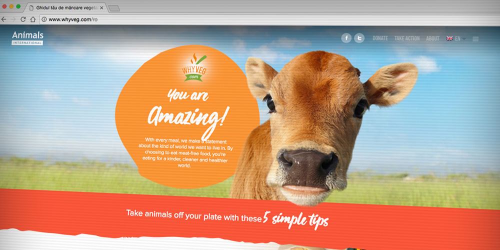 Screenshot of dekstop screen of whyveg.com, with a photo of cow calf