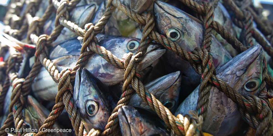 5 things the fishing industry doesn't want you to know