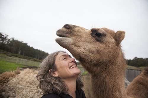 Australian woman shares a hug with a rescued camel