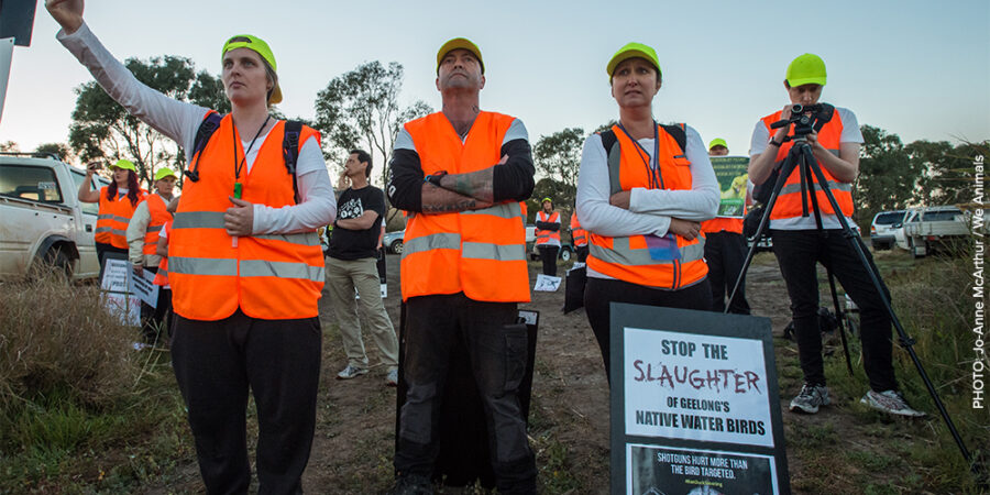 Group of activists protesting against the duck shooting in Geelong Victoria
