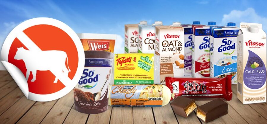 Dairy free options with milks, cheese and ice cream