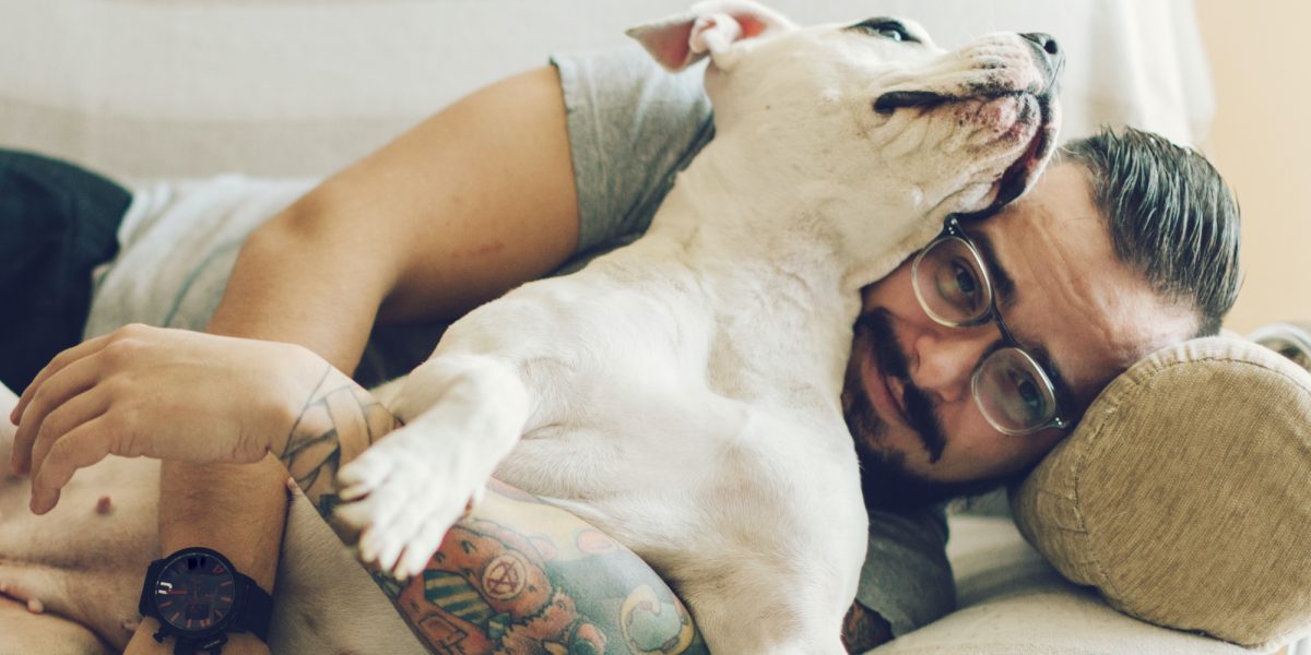 A white dog enjoying cuddles on a sofa.