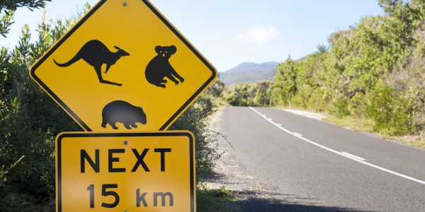 Contact Us | Animals Australia
