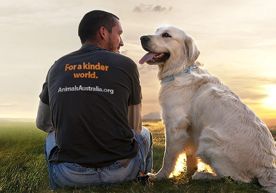 Image of man and dog sitting at sunset