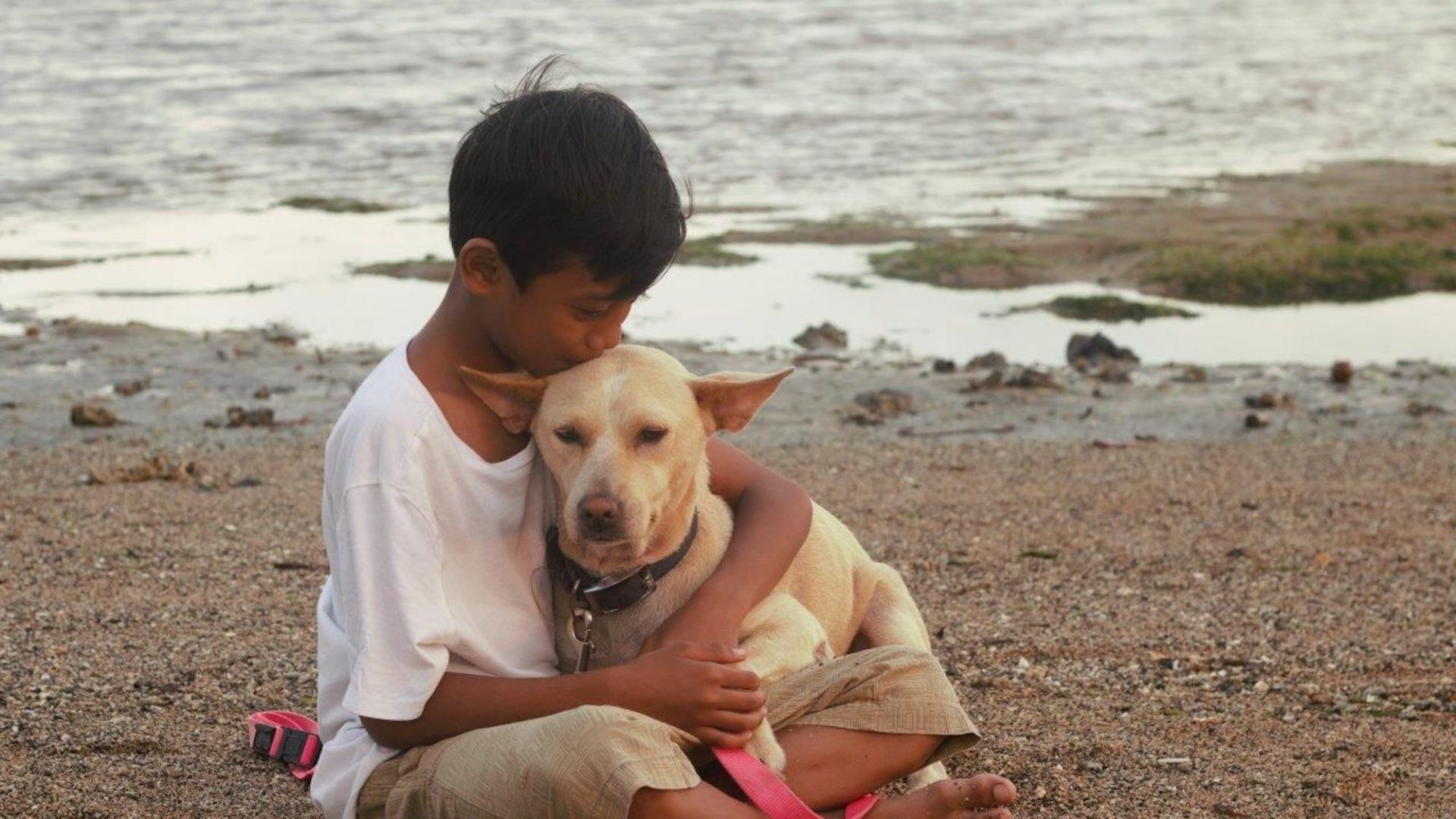 A young boy affectionately cuddles a dog on the beach in Bali.