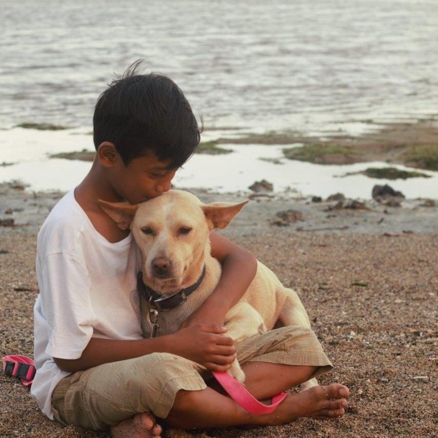 A young boy affectionately cuddles a dog on the beach in Bali.