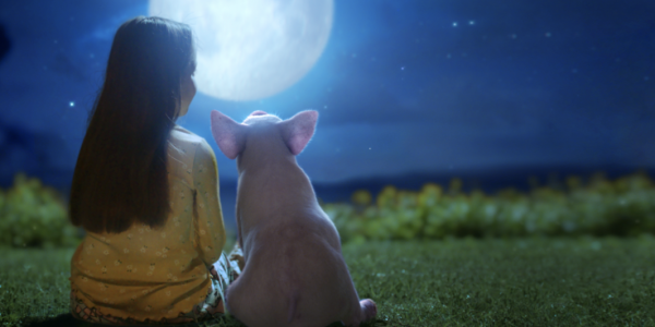 A girl and piglet sit on grass staring at the moon