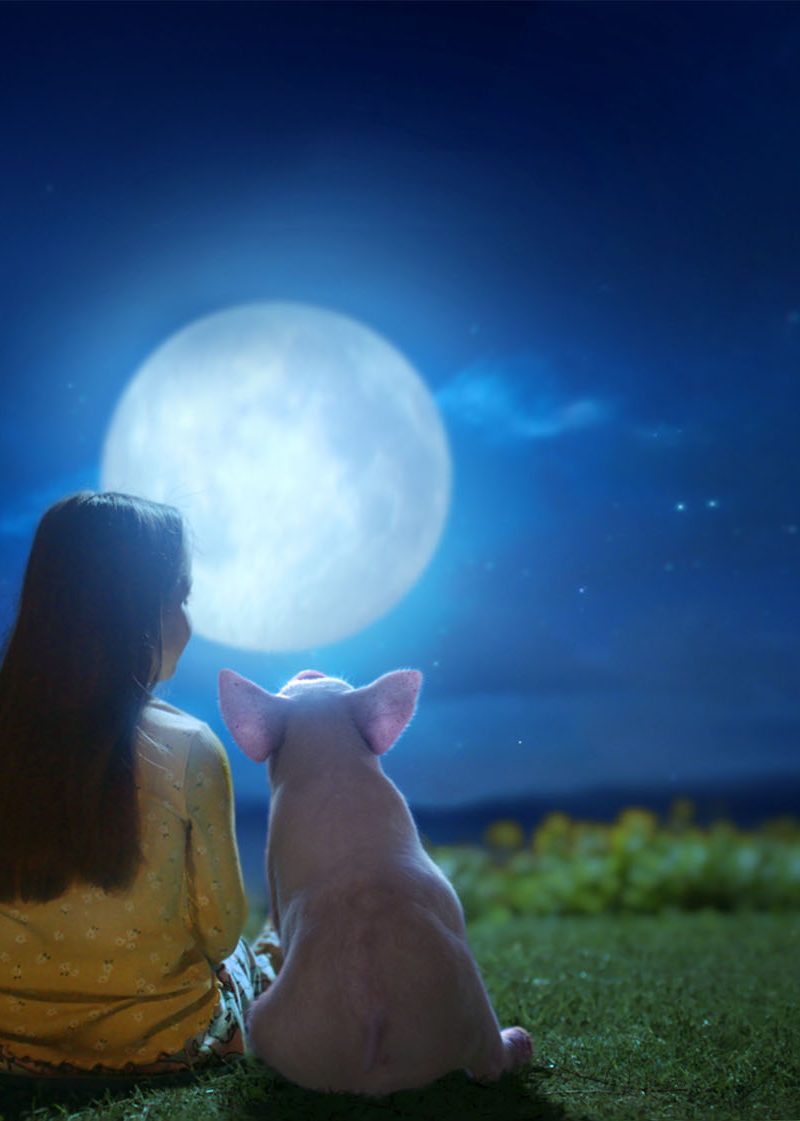A young girl and a piglet sit together looking at a bright, full moon.