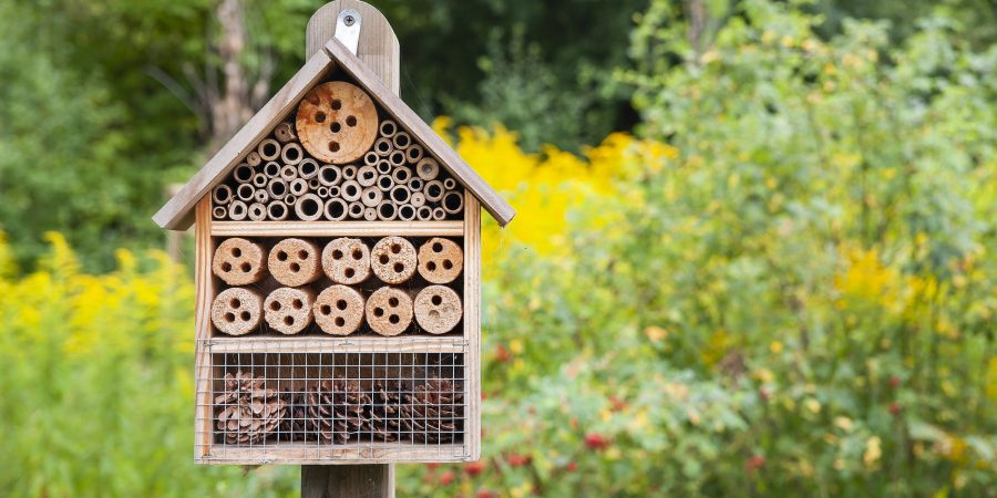 A bug hotel stands amongst greenery and yellow flowers.