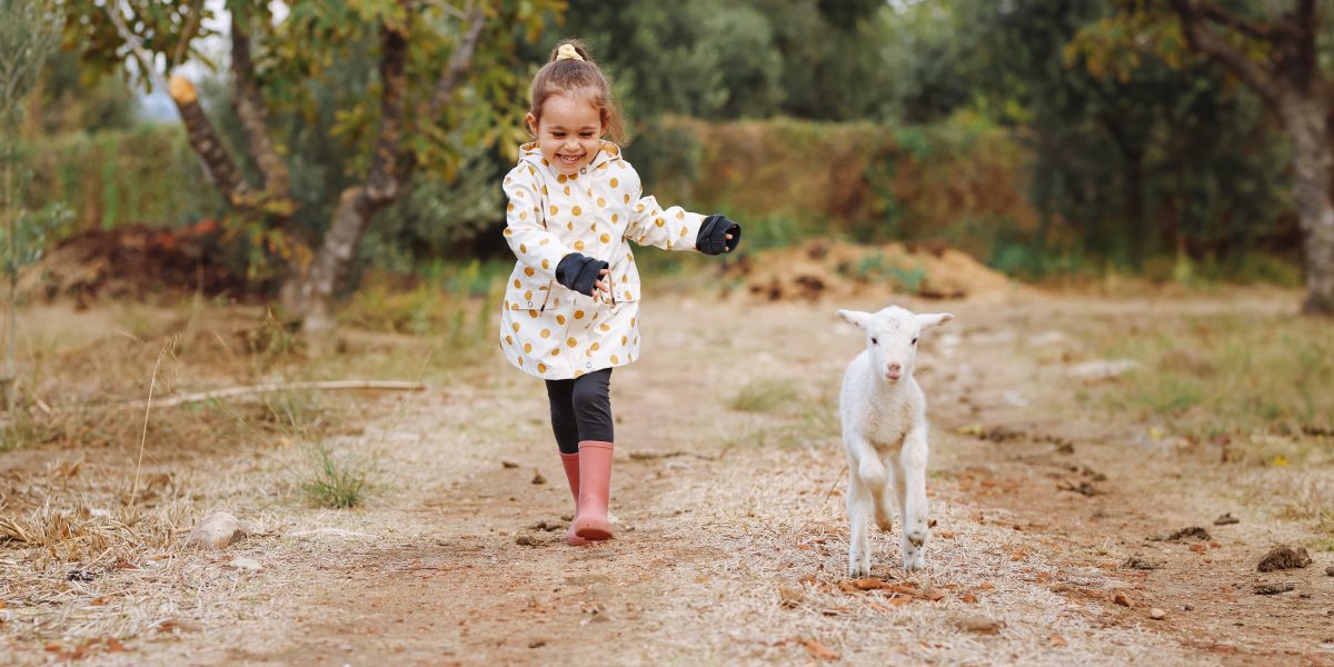 A girl in gumboots and young lamb run joyfully side by side.