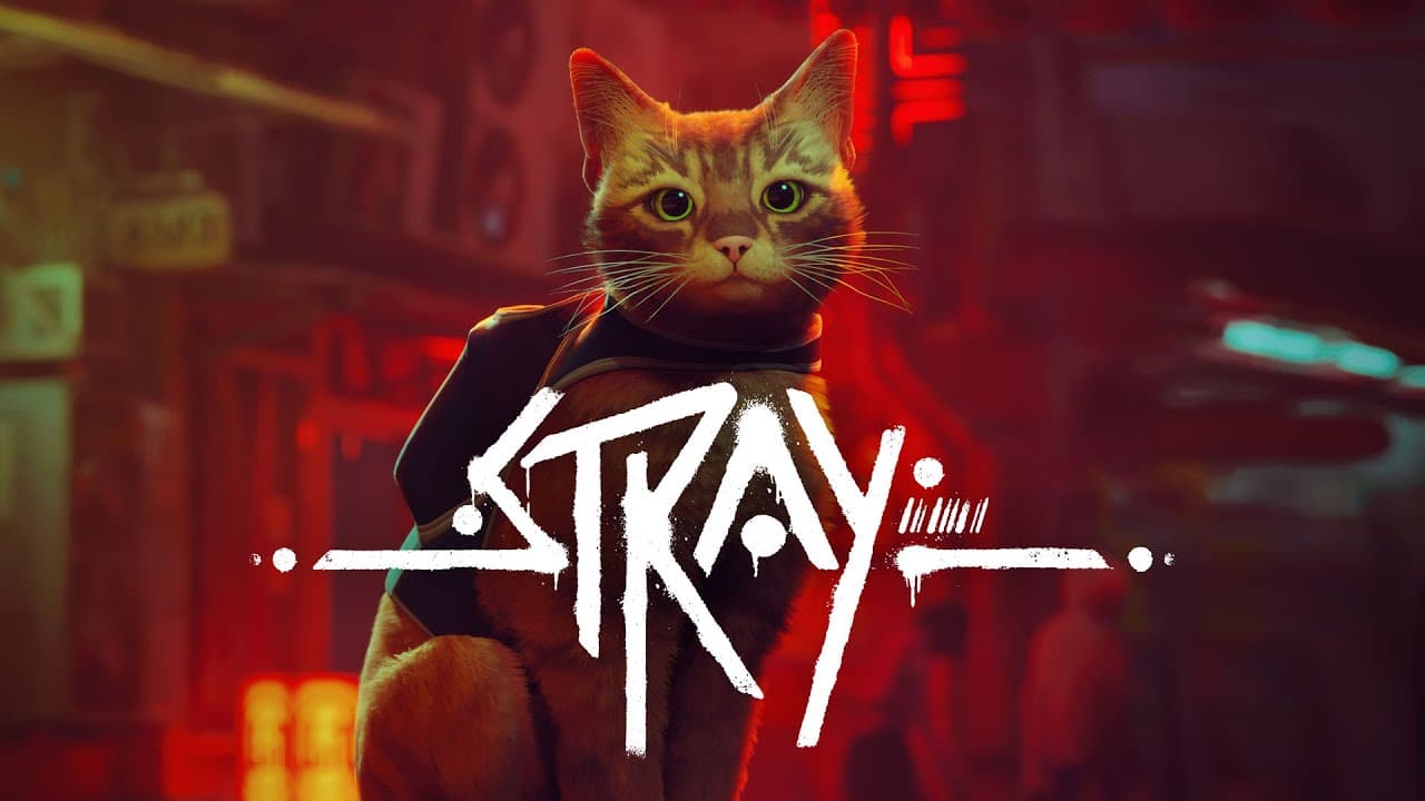 Stray is a game whose hero is a cat in the world of robots