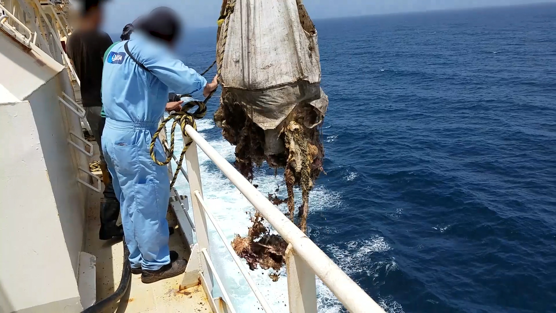 A worker on a live export ship releasing the dead and decaying bodies into the ocean.