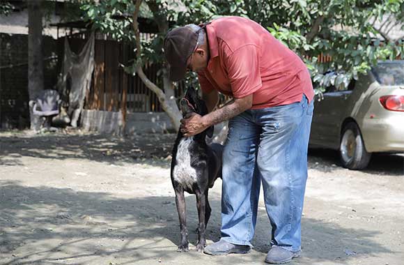 Javed affectionately pats a rescued dog, the dog looking up at him lovingly.