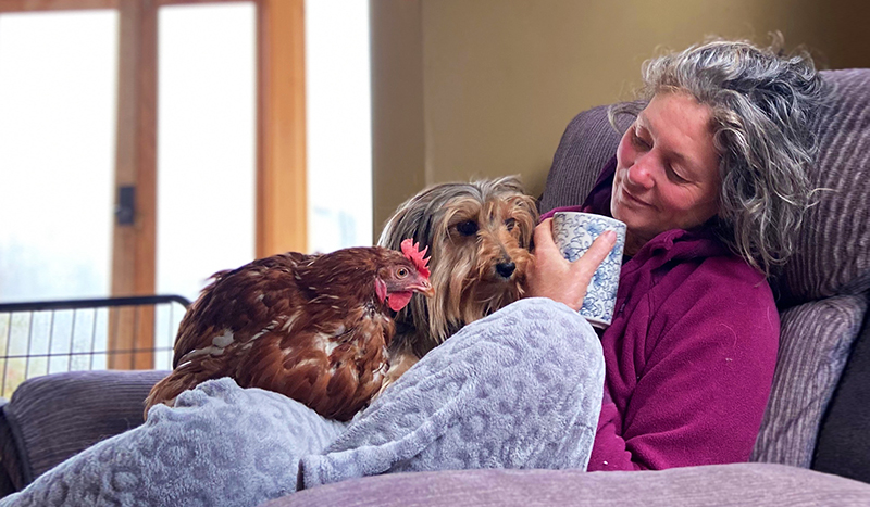 Woman on couch with cup of tea and dog and chicken sitting on lap