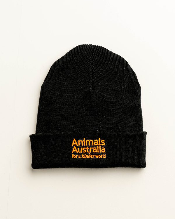 Front of black beanie with the AA logo embroidered in orange