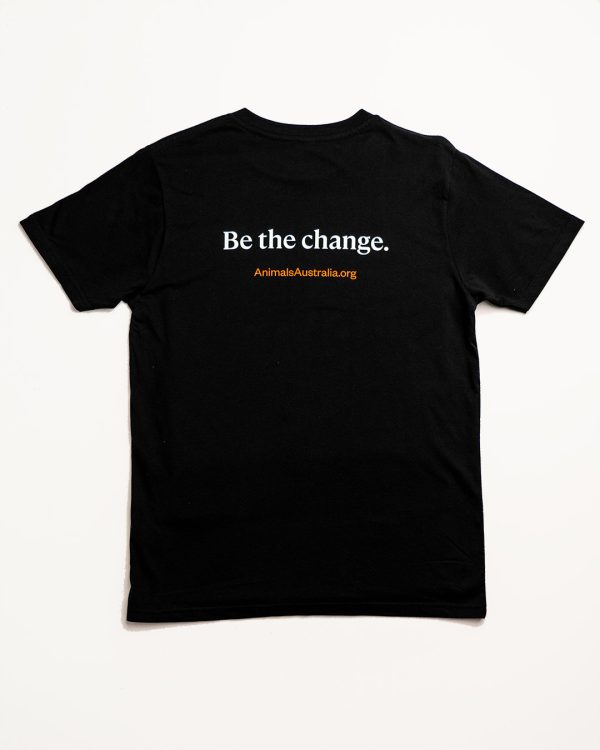 'Be the change.' on the back of an unfitted black tee with the AA website