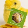 Plush yellow chick with necktie