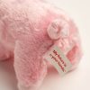 Label on back of plush pig 'My future is in your hands'