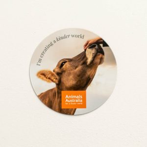 Magnet with the Animals Australia logo, a pic of a hand patting a cow's head and the phrase 'I'm creating a kinder world'