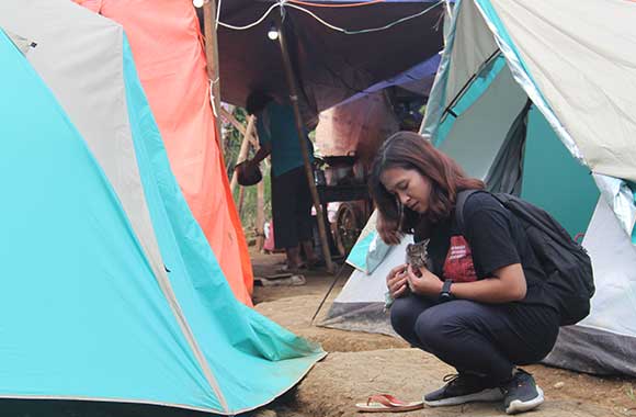 A kitten in the arms of a rescuer surrounded by tents.