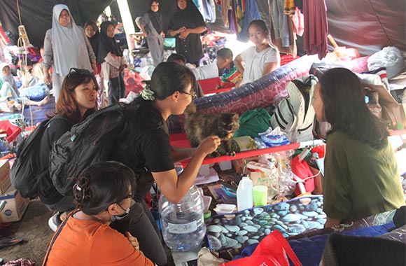 An emergency centre in East Java where a cat is being cared for.