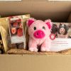 Valentines day chocolates, plush pig and certificate pictured in a box