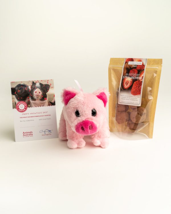 Valentines Day Pack including symbolic adoption certificate, plush pig and chocolates pictured from left to right on beige background