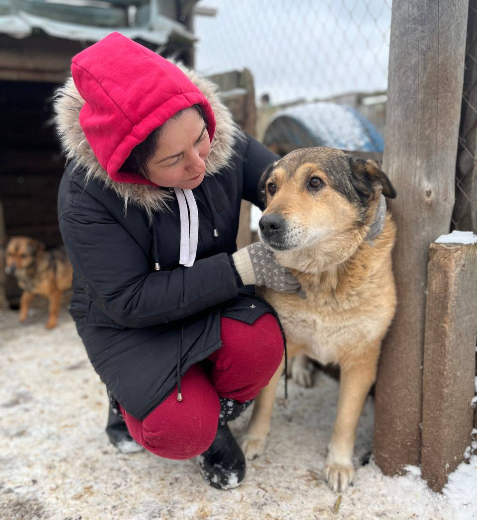 Alexandra Mezinova from Sirius shelter crouched down in the snow patting a rescued dog in Ukraine