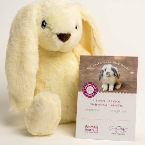 Plush bunny with adoption certificate