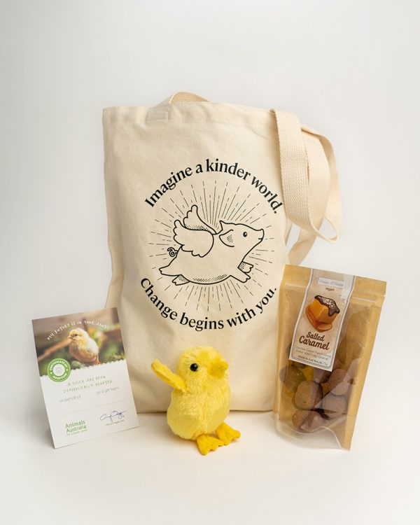 Easter gift pack - tote bag, plush chick with adoption certificate and pack of salted caramels
