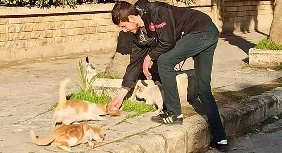 An Animals Syria Cat Connect team member feeds cats on the streets.