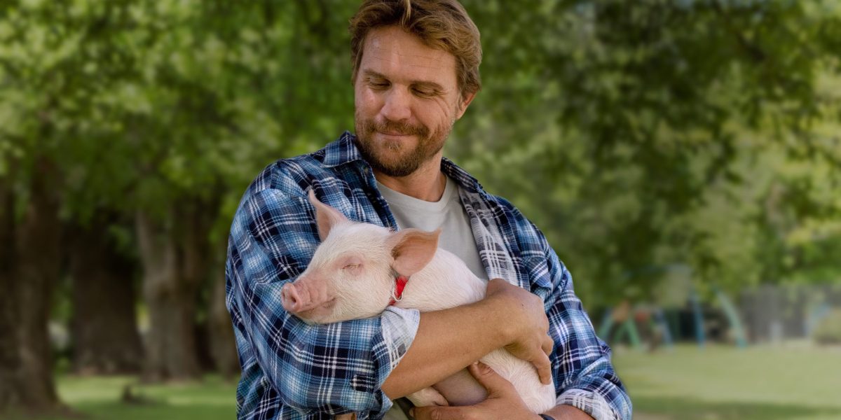 Davo is holding Tottie the piglet and looking lovingly at her