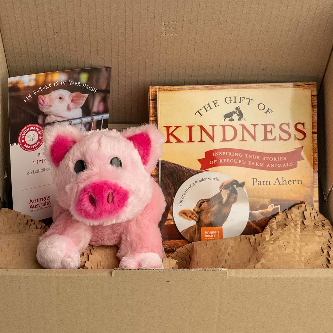 Kindness gift pack | Animals Australia