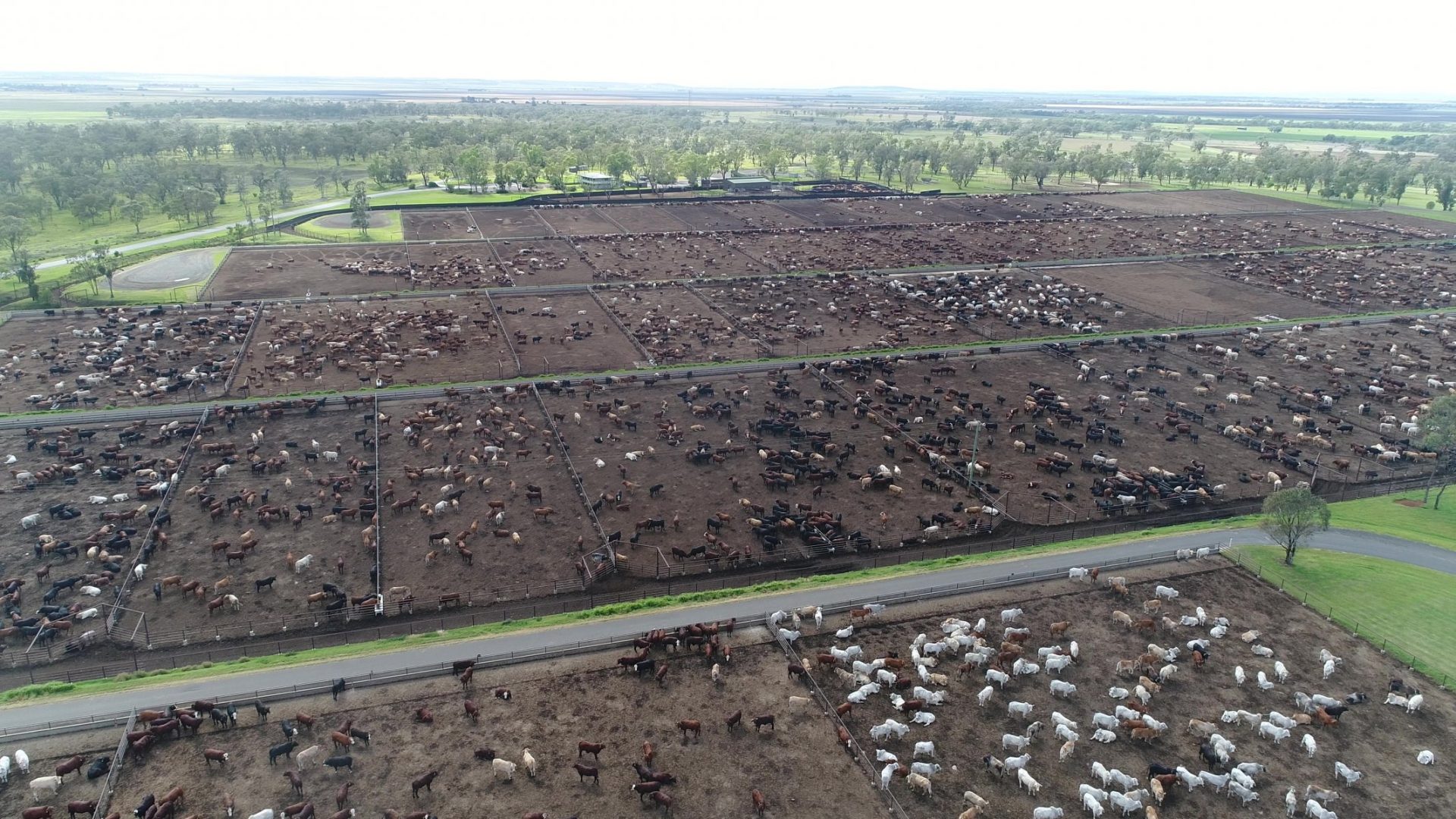 Aerial view of Wainui Feedlot, QLD