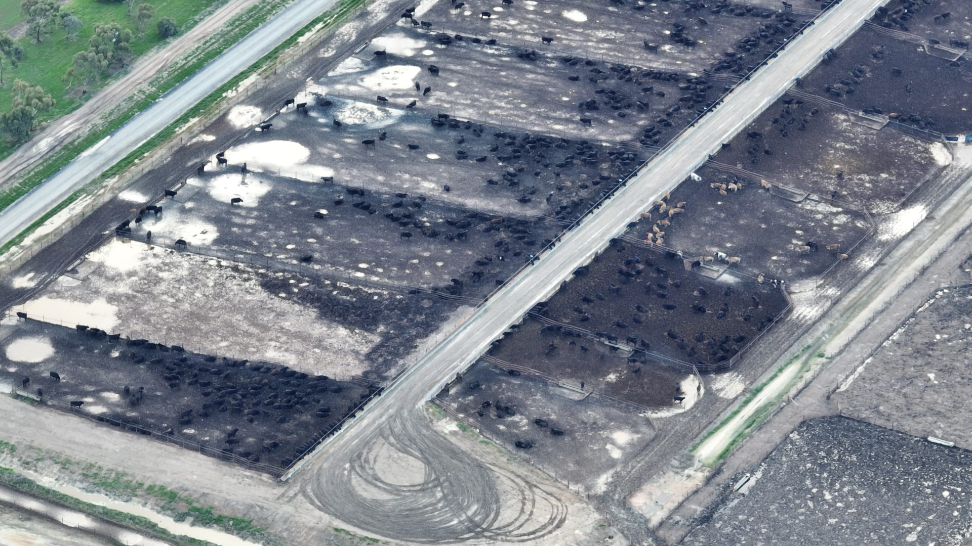 Aerial view of the current Harmony Feedlot in Dimboola, VIC