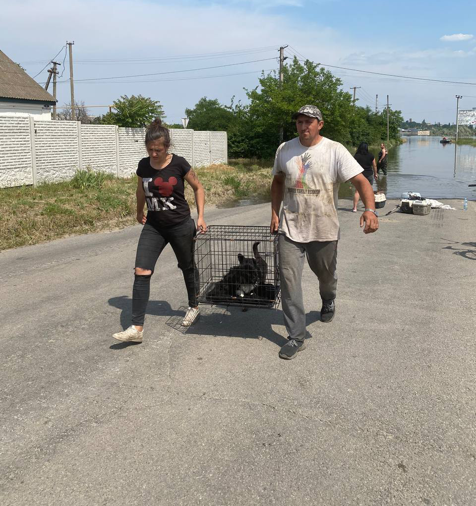 Pegasus team members carry rescued animals from floodwaters in a travel cage in Ukraine.