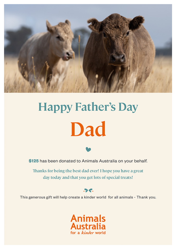 The perfect Father's Day present for any dad: These Australian