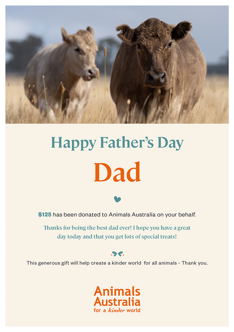 An example of how your father's day gift certificate will generate