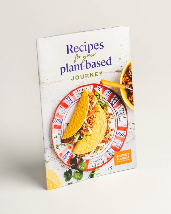 A5 recipe booklet titles 'Recipes for your plant-based journey'