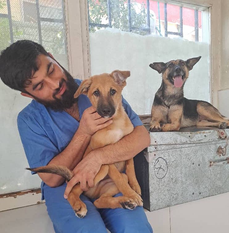 A vet from Kabul Small Animal Rescue holds a rescued tan-coloured dog and looks at them affectionately.