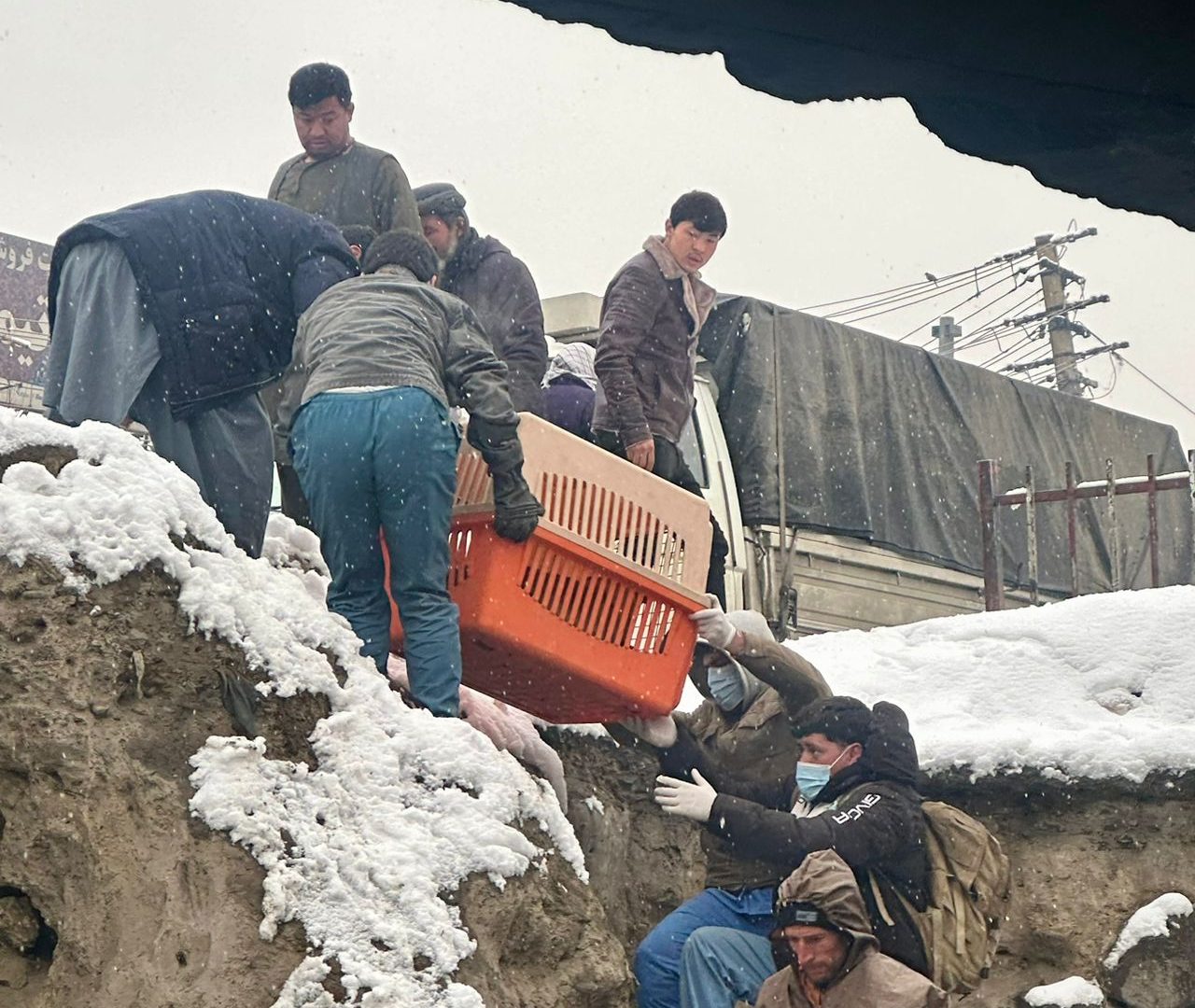 Rescuers carry a crate with a rescued animal down a steep ditch covered in snow in Afghanistan.