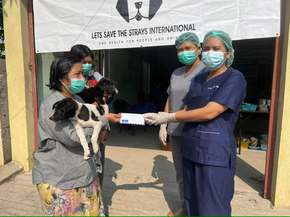 Underneath a Let's Save the Strays banner, people hold two rescued dogs with two vets.