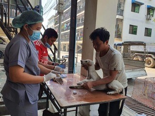 The Let's Save the Strays team members give medical treatment to a dog on a table.