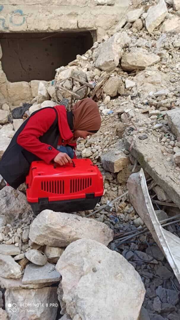 A woman from the Animals Syria team with a red animal crate searches amongst rubble in Syria.