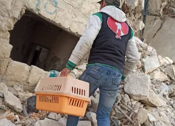 A man from the Animals Syria rescue team with a crate searching for those in need in the rubble in Syria.