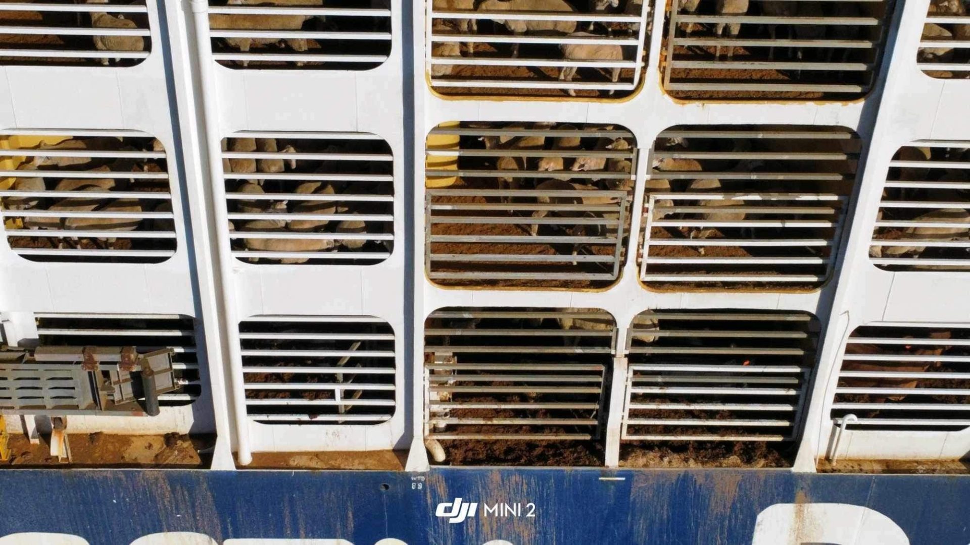 Aerial view of the side of a live export ship. Sheep can be seen beyond the bars. Faeces is spilling over the sides and can be seen covering the floor of the pens.